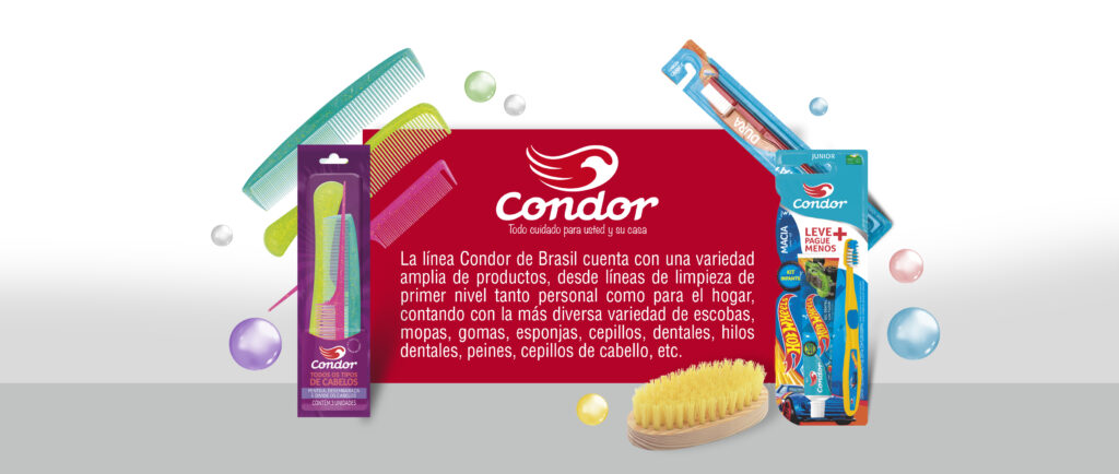 ARTE PORTADA LINEA CONDOR