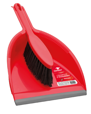 Conjunto Pala y Escobilla